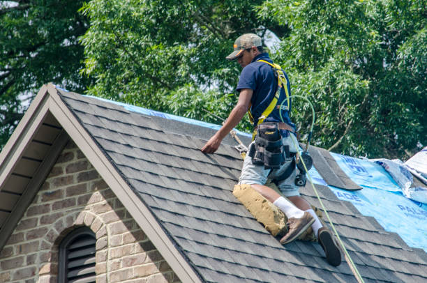 Roof Gutter Cleaning in Loma, CO